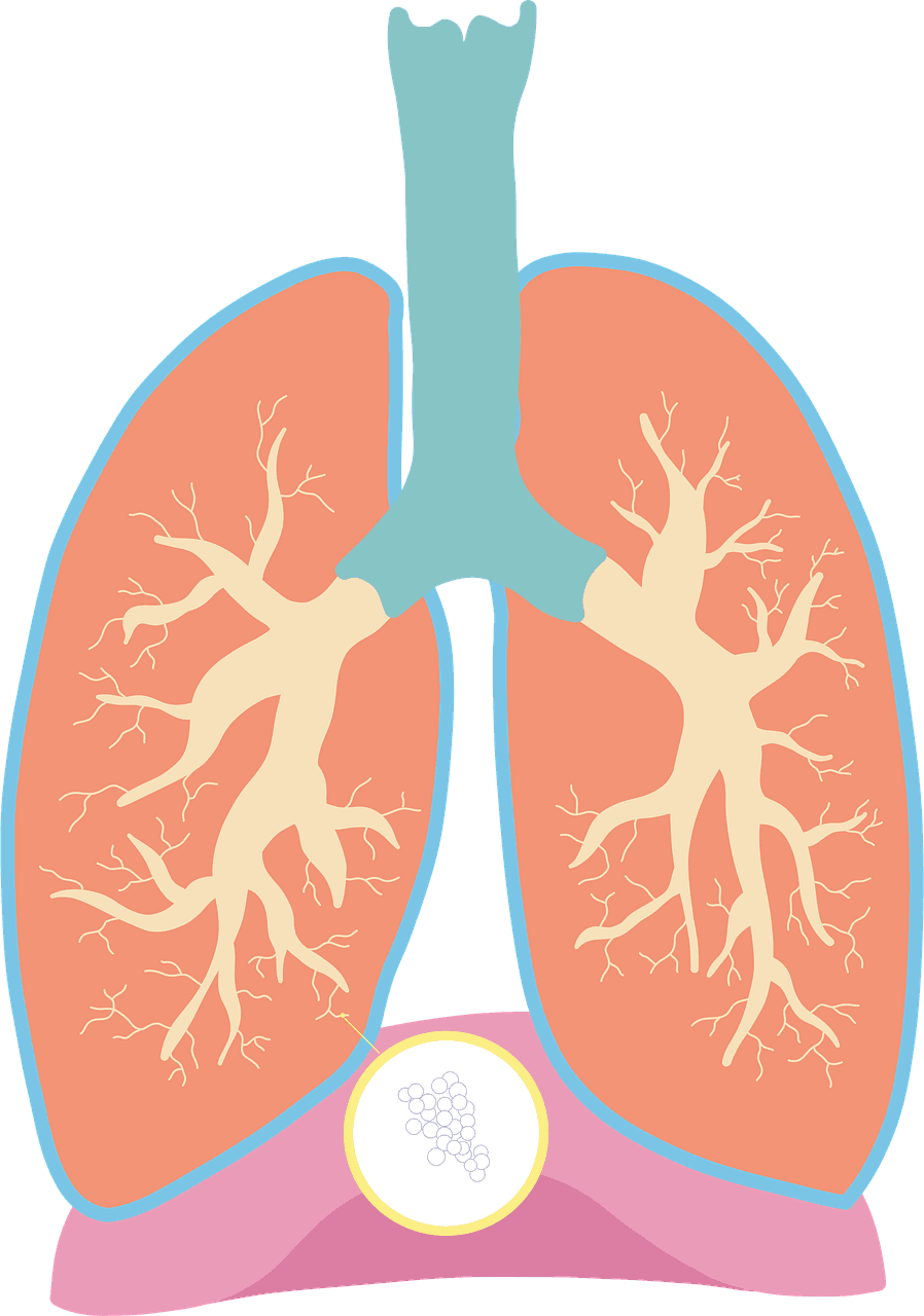 Respiratory category